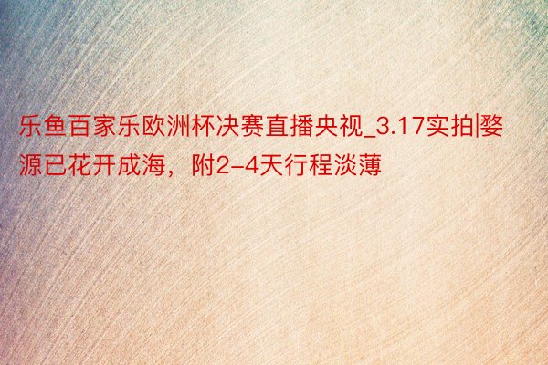 乐鱼百家乐欧洲杯决赛直播央视_3.17实拍|婺源已花开成海，附2-4天行程淡薄