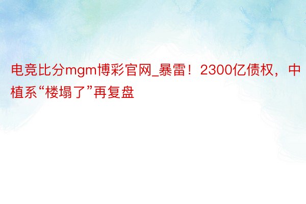 电竞比分mgm博彩官网_暴雷！2300亿债权，中植系“楼塌了”再复盘