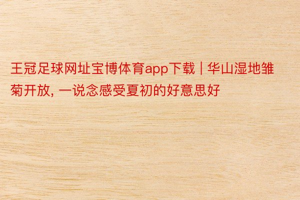 王冠足球网址宝博体育app下载 | 华山湿地雏菊开放, 一说念感受夏初的好意思好