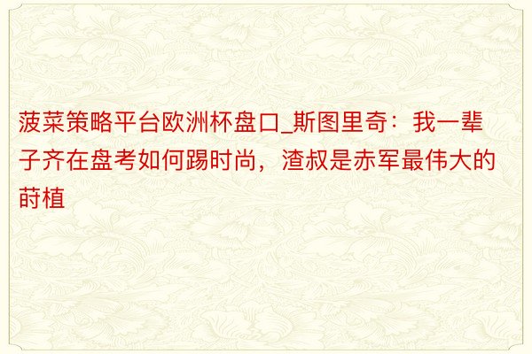 菠菜策略平台欧洲杯盘口_斯图里奇：我一辈子齐在盘考如何踢时尚，渣叔是赤军最伟大的莳植